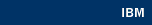 IBM (International Business Machines)